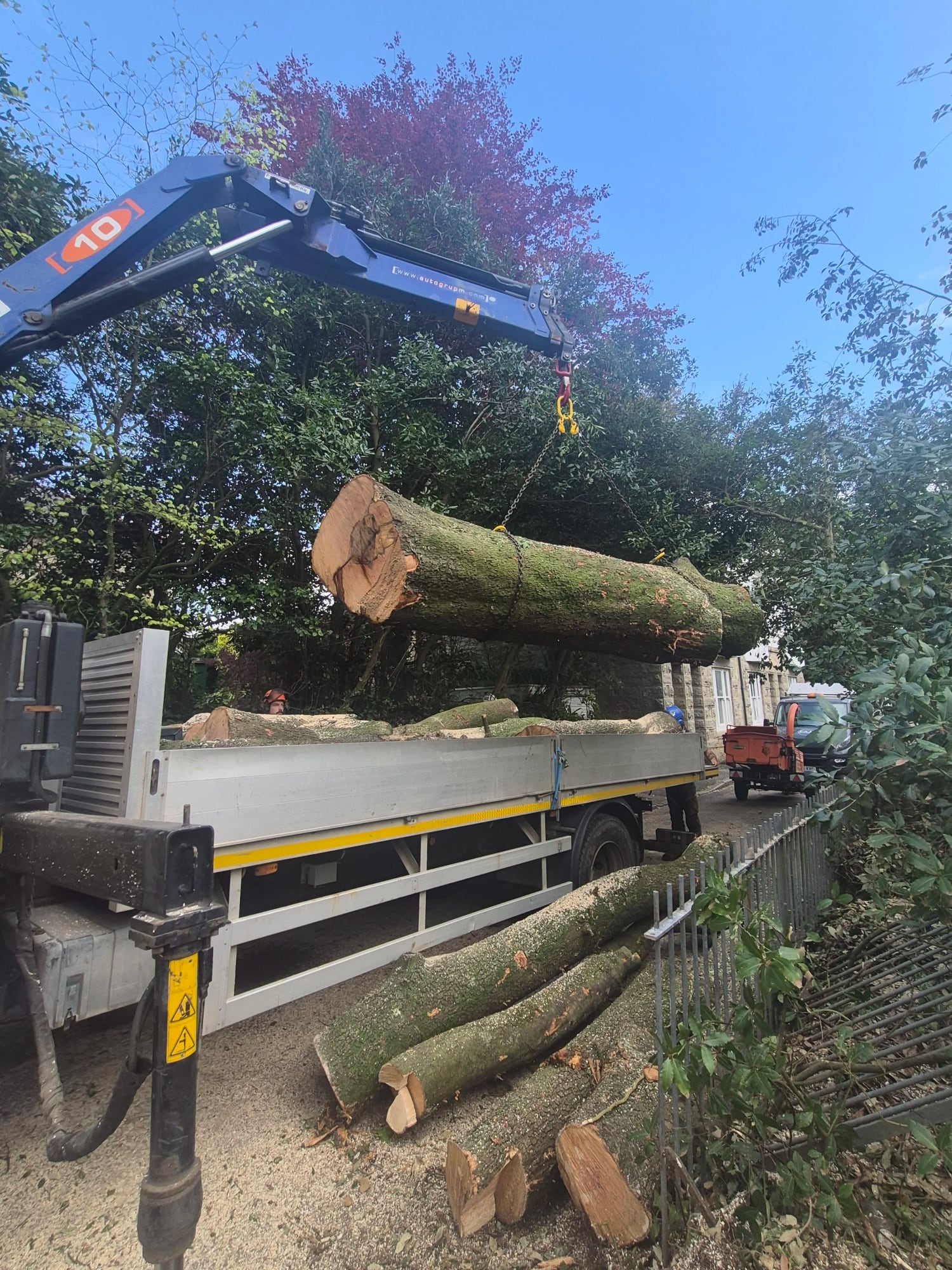 A loader crane stacking large timber logs onto the flatbed of the lorry